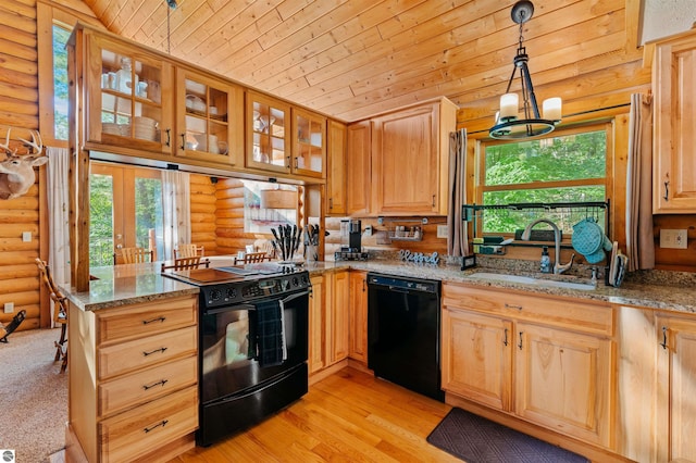 kitchen with decorative light fixtures, plenty of natural light, sink, and black appliances