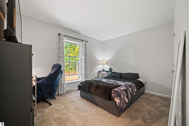 bedroom with carpet flooring