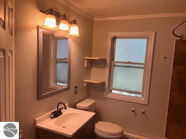 bathroom with crown molding, vanity, and toilet