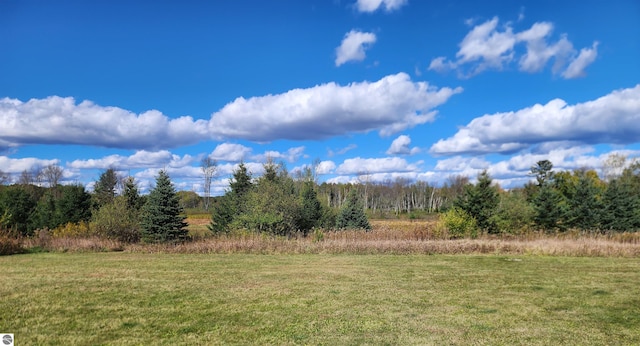 view of local wilderness