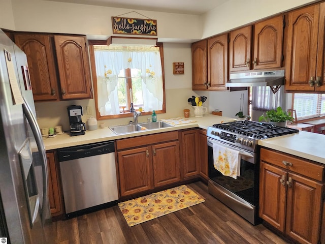 kitchen with a wealth of natural light, stainless steel appliances, dark wood-type flooring, and sink