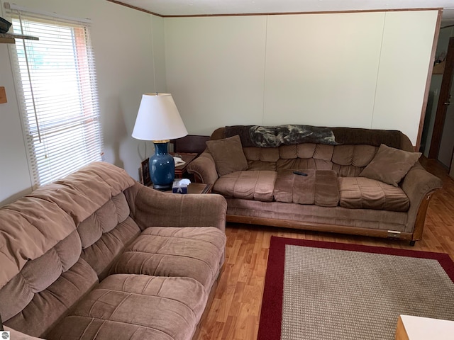 living room featuring ornamental molding and light hardwood / wood-style floors