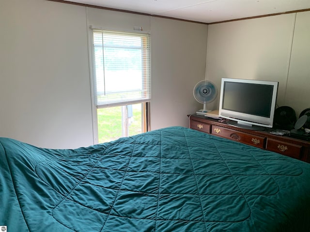 bedroom featuring ornamental molding