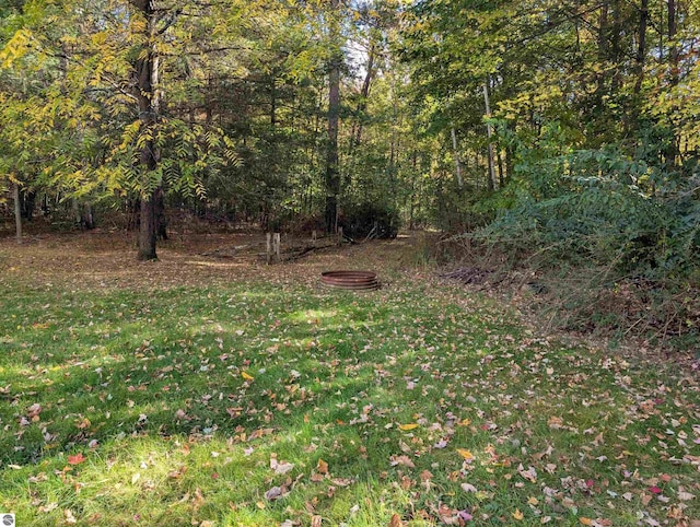 view of local wilderness