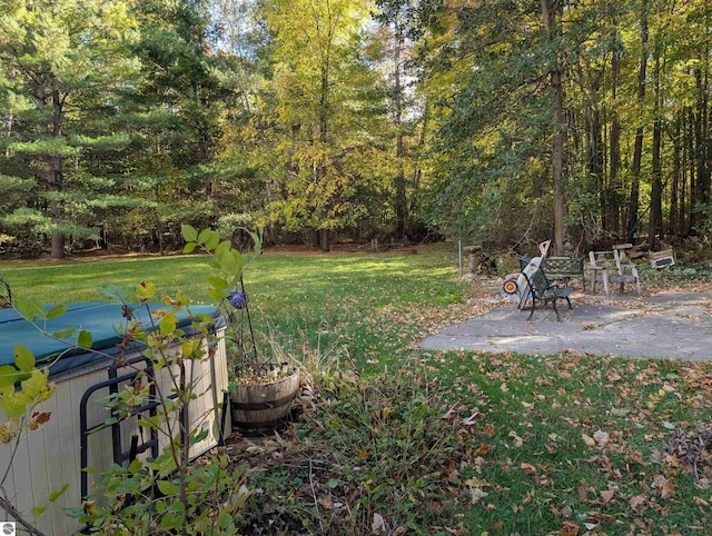 view of yard with a patio area