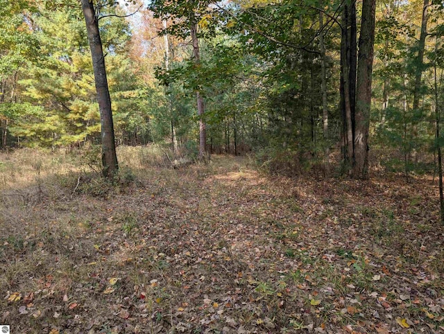 view of local wilderness