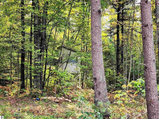 view of local wilderness