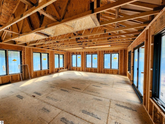 miscellaneous room with plenty of natural light