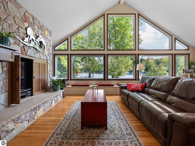 living room with hardwood / wood-style floors and high vaulted ceiling