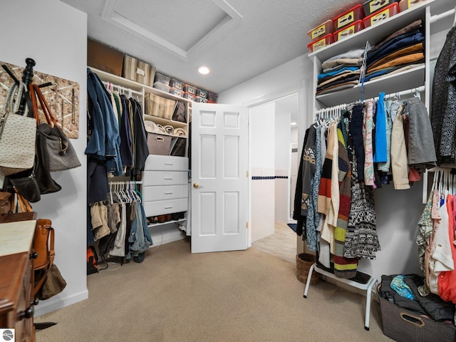 walk in closet with carpet flooring