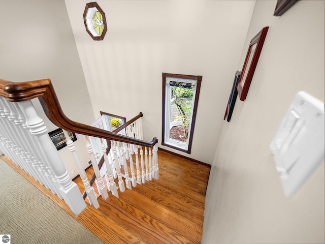 staircase featuring wood-type flooring