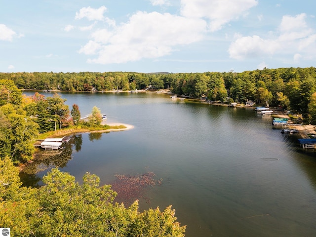 property view of water