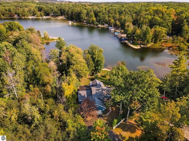 drone / aerial view with a water view