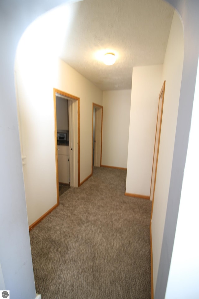 hall featuring a textured ceiling and carpet flooring