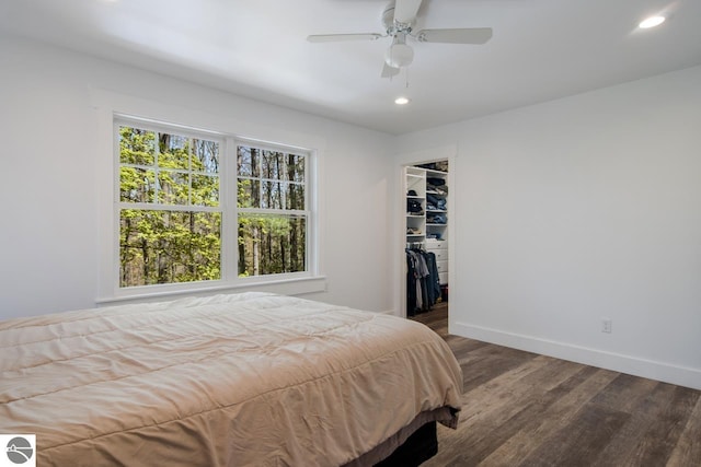 bedroom with wood-type flooring, a closet, a walk in closet, and ceiling fan