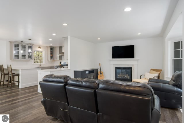 living room featuring dark hardwood / wood-style flooring and sink