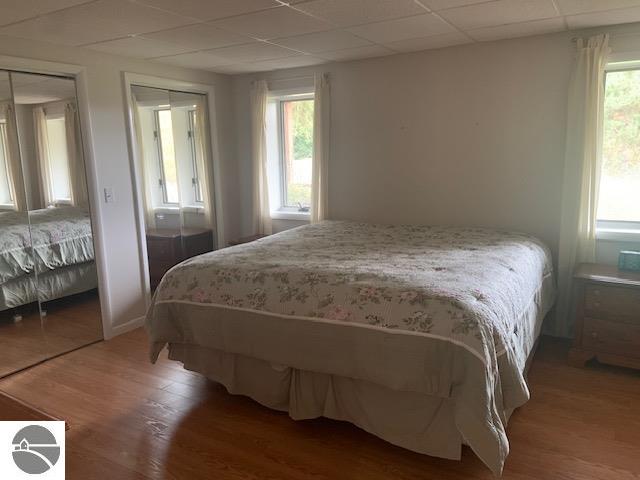 bedroom featuring multiple windows, dark hardwood / wood-style floors, and multiple closets