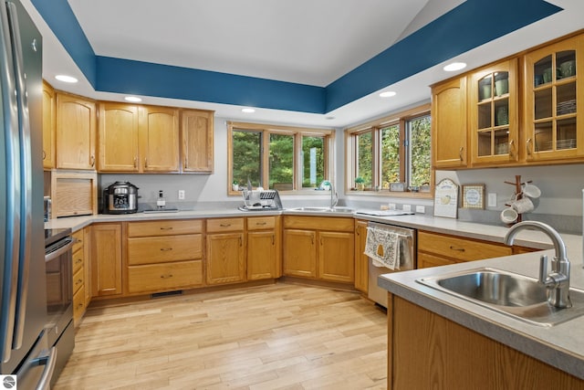 kitchen with a tray ceiling, appliances with stainless steel finishes, sink, and light hardwood / wood-style flooring