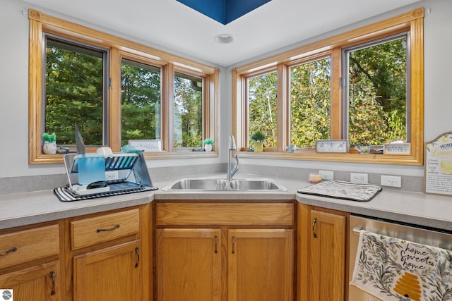 kitchen featuring dishwasher and sink