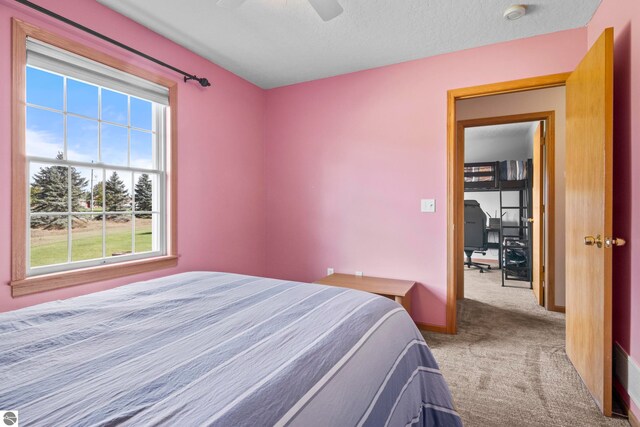 bedroom with ceiling fan, a textured ceiling, carpet, and multiple windows