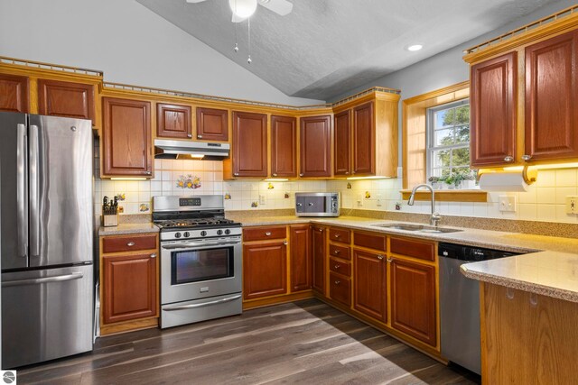 kitchen featuring sink, dark hardwood / wood-style flooring, vaulted ceiling, appliances with stainless steel finishes, and backsplash