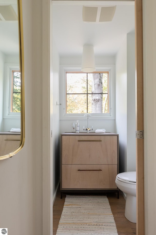 bathroom with vanity, toilet, hardwood / wood-style flooring, and a wealth of natural light