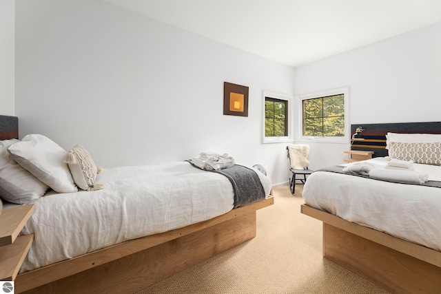 bedroom featuring carpet