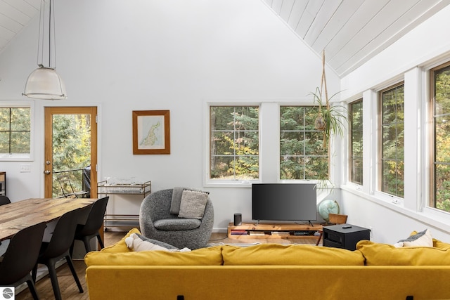 living room with high vaulted ceiling, hardwood / wood-style floors, and a healthy amount of sunlight