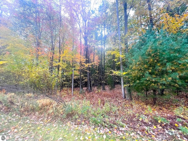 Listing photo 2 for TBD Hilltop Ln, Mount Pleasant MI 48858