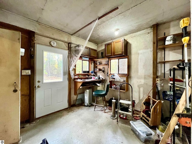 miscellaneous room featuring a wealth of natural light and a workshop area