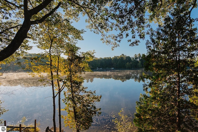 property view of water