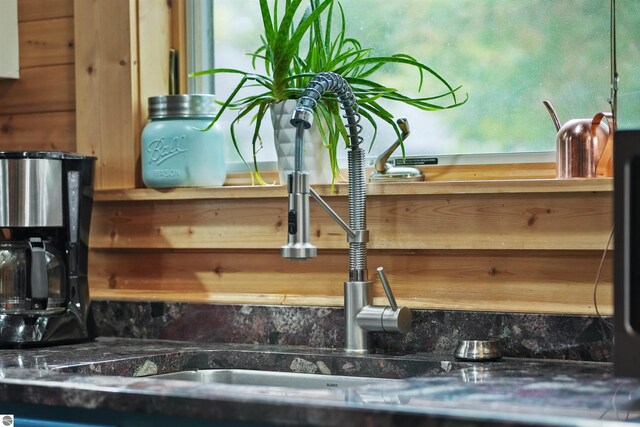 interior details with dark stone counters