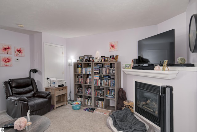 sitting room with carpet flooring