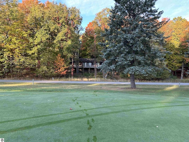 5417 Golfview Rd, Bellaire, MI 49615 - view of home's community