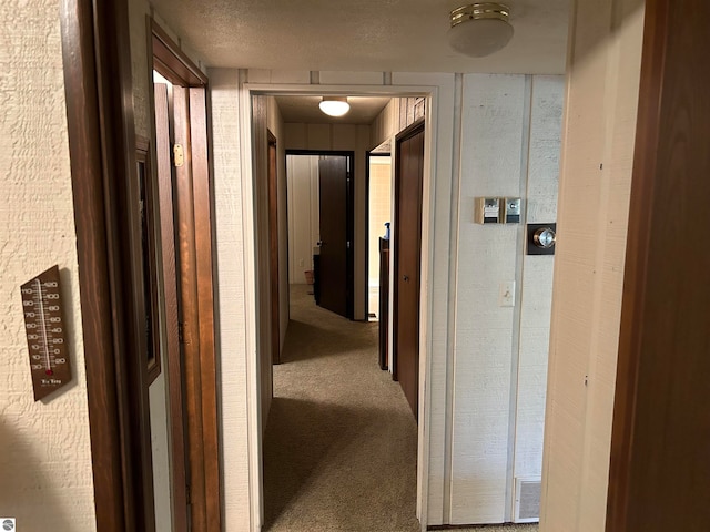 hallway featuring carpet and a textured ceiling