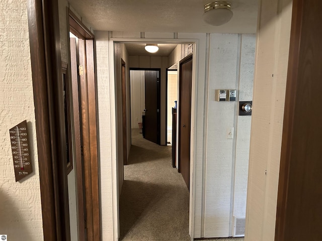 5417 Golfview Rd, Bellaire, MI 49615 - hall with carpet floors