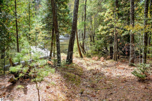 view of local wilderness with a water view