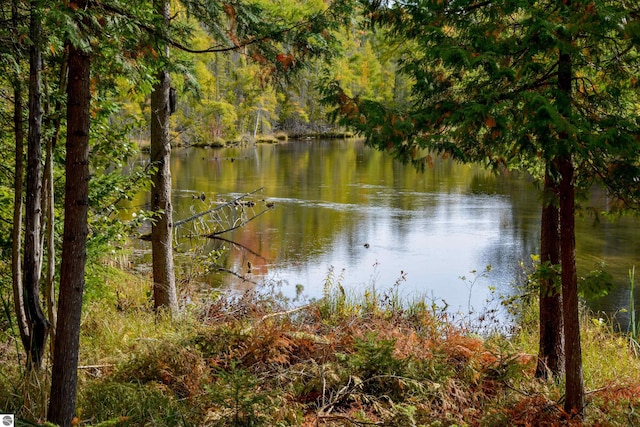 view of water feature