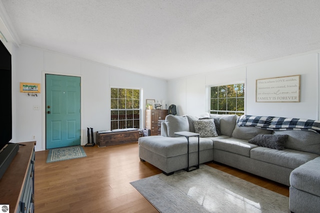 living room featuring a textured ceiling, vaulted ceiling, wood-type flooring, and plenty of natural light