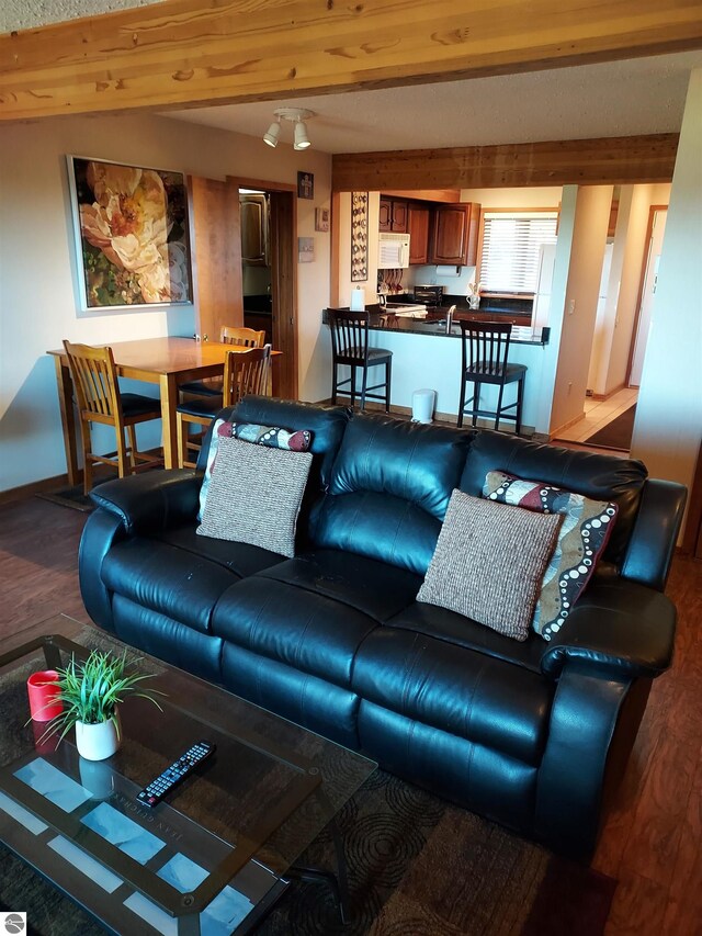 living room with hardwood / wood-style flooring and beamed ceiling