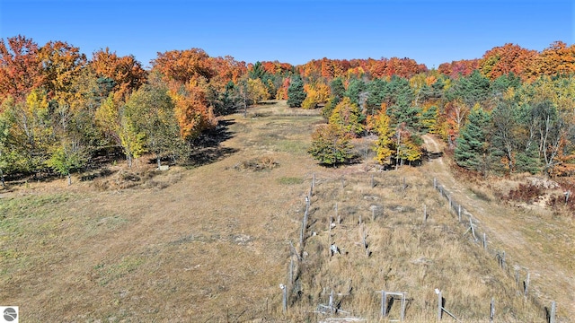 view of local wilderness with a rural view