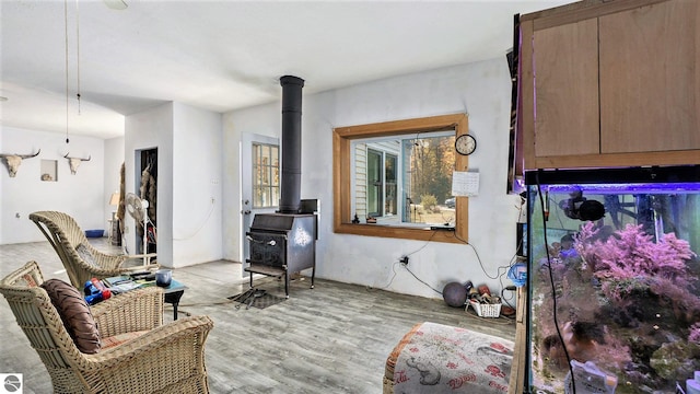 living room with a wood stove and light hardwood / wood-style flooring