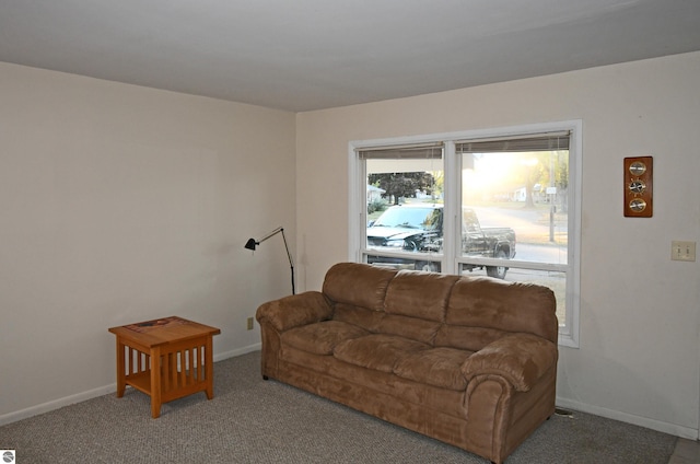 living room featuring carpet floors