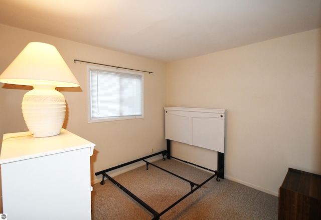 bedroom featuring carpet floors