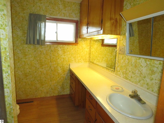 bathroom with vanity and hardwood / wood-style flooring