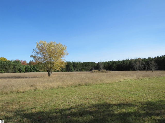 view of yard with a rural view