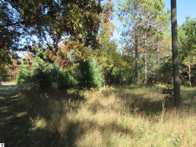 view of local wilderness