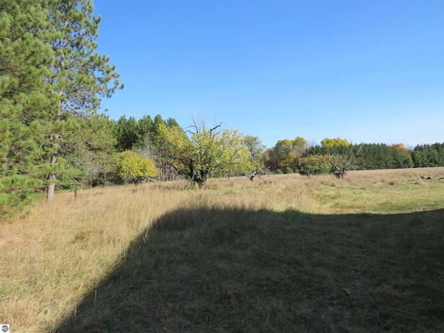 view of yard with a rural view