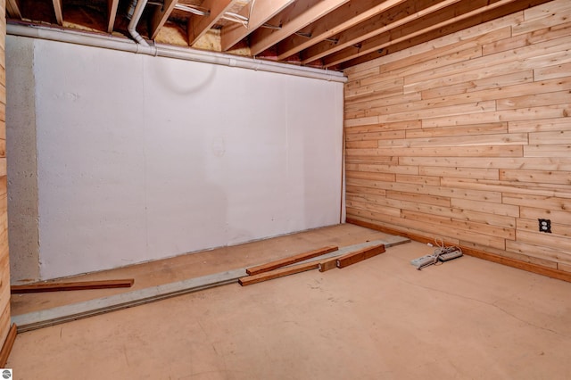 basement with wooden walls