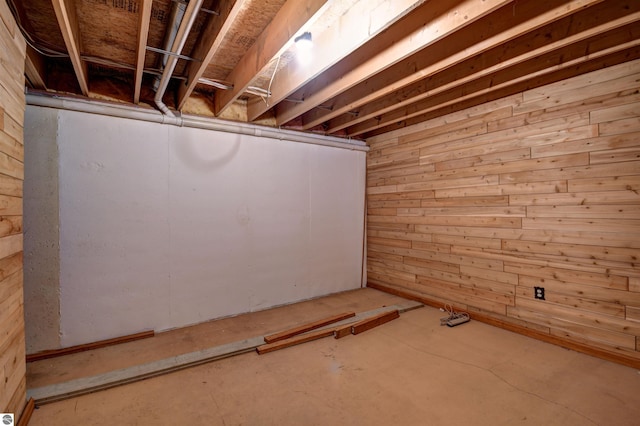 basement with wooden walls